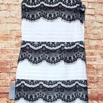 Felicity and Coco | White Black Lace Bodycon Dress Photo 1