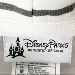 Disney  PARKS Authentic Striped Hooded Kangaroo Pocket Sweatshirt, Size Small Photo 2
