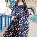 Anthropologie Pink Chicken Serena Dress Photo 0