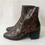 Treasure & Bond Nordstrom Farrah Brown Faux Snake Western Stud Ankle Boots 6.5 Photo 5
