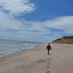 Vineyard Vines  Quarter Zip Embroidered Pullover Top Photo 10