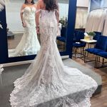 Elegant Lace Off Photo 0