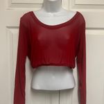 Pretty Angel Wine Sheer Cropped Mesh Top Photo 1