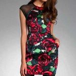 Nanette Lepore NWT Daring Rose Silk Sheath Mini Dress Sheer Mesh Panels Floral 8 Photo 0