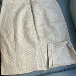 Ann Taylor Loft Zebra Print Skirt Photo 1