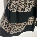 Anthropologie Eva Franco Laced‎ Strata Fit and Flare Pleated Dress Black Cream 2 Photo 6