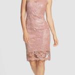 Tadashi Shoji  Floral Lace Illusion Sequin Knee Length Dress, Blush/Pink, Size 6 Photo 0