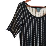Gabby Skye Women Sweater Dress 1X Black Tan Stripe Swing Hem Trendy Office Photo 3