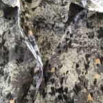 Coldwater Creek FINAL MARKDOWN Ladies  blouse xs 4 Photo 2