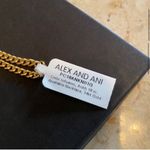 ALEX AND ANI Color Infusion 18" Ankh Necklace Photo 5