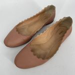Chloé CHLOE Lauren Pale Pink Scalloped Flats FLAWED Photo 26