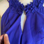 Aryn K Halter Ruffled Blouse Photo 4