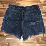American Eagle  90’s Boyfriend Shorts Size 10 Photo 1