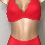 Seafolly New.  red petal edge high rise bikini. USA SIZE 8DD/6-bottom Photo 0