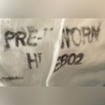 Levi's High Rise Jean Shorts Women's Sz 29 Blue Photo 10