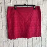 G.H. Bass & Co. NWT Pink Eyelet Cottagecore Mini Skirt Size 12 Photo 0