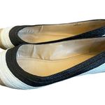 Enzo Angiolini  Bullseye Raffia Flats Slip On Ballet Color Block Size 8.5 Women's Photo 4