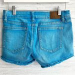 Vintage Havana  Blue Shorts Photo 2