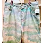 Free People  Maggie Desert Scenic Jeans Multi 30 Photo 12