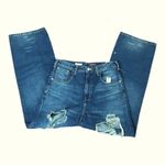 Anthropologie Pilcro The Joey High Rise Destroyed Straight Jean Size 29 NEW $140 Photo 11