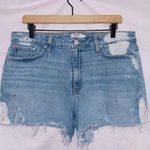 Hudson Jeans Light Wash Denim High Waisted Croxley Paint Splatter Jean Shorts 33 Photo 0