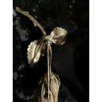 Giovanni‎ Rose Brooch / Pin Gold Tone Flower Costume Jewelry Vintage Photo 2