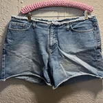 Venezia Jeans Clothing Co. Jean Shorts Woman’s Size 16 100% Cotton Blue Photo 0