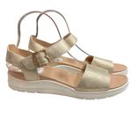 Dr. Scholl's Women's Time Off Sky Gold Smooth Wedge Casual Sandals Size 8.5 NWT Photo 1