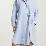 Everlane  Organic Cotton Oxford Belted‎ Long Sleeve Shirt Dress Light Blue Large Photo 0