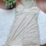 American Rag Champagne gold lace fitted Bodycon dress SZ small Photo 1
