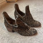 Gianni Bini  Leopard Print Ankle Booties with Silver Studs Photo 0