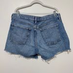 AGOLDE  Parker Long Shorts Size 32 button fly Photo 4