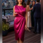 Lush Clothing LUSH magenta hot pink cocktail dress sz L Photo 1