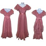 JC Penny Vintage 1970s Ruffle Tulle Daphne Rose JC Penney Maxi Dress Prom Gown Size 3/4 Photo 1
