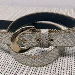 Elite Vintage sparkle glitter metallic silver gold belt 36” long Photo 0