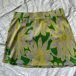 ZARA Skirt Photo 0