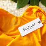 Ellejay Ruffle Thais One Piece Bathing Suit Photo 8