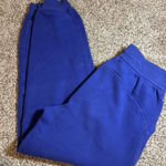 Lululemon Blue  Scuba Joggers Photo 0