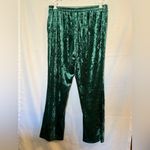 LuLaRoe Luxe by Green Velvet Pants XL Photo 3