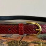 Vintage 90s ROC Red Genuine Snake Skin Skinny Gold Buckle Belt Photo 0