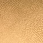 Kristine Black and Tan Clutch with Gold Accents Photo 7