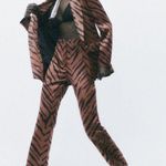 ZARA  Printed Satin Slim Flare Pants Photo 9