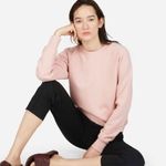 Everlane The Slim Classic French Terry Crew Photo 0
