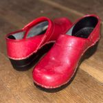 Sanita Clogs Sanita Brand Clogs Photo 0