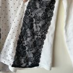 The Limited NWT  Large White Polka Dot Butterfly Lace Contrast Trim Sweater Top Photo 3