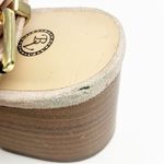 Bella Vita Pink Leather Upper Ankle Straps Open Toe Chunky Heel Sandals, Size 7 Photo 10