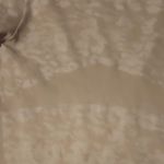 SAGE COLLECTIVE WOMENS ACTIVEWEAR FULL SET IVORY SIZE S Photo 4