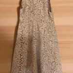 Stylestalker  Blush and Cream Lace Dress Photo 0