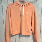 Puma  Pull Over Hoodie Photo 0