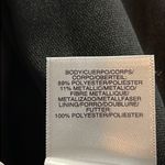 Rachel Rachel Roy Metallic Striped Rainbow Skirt Pleated Lined Stretch Waistband Purple Photo 11